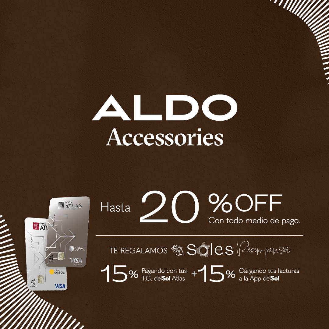 Aldo Accessories 